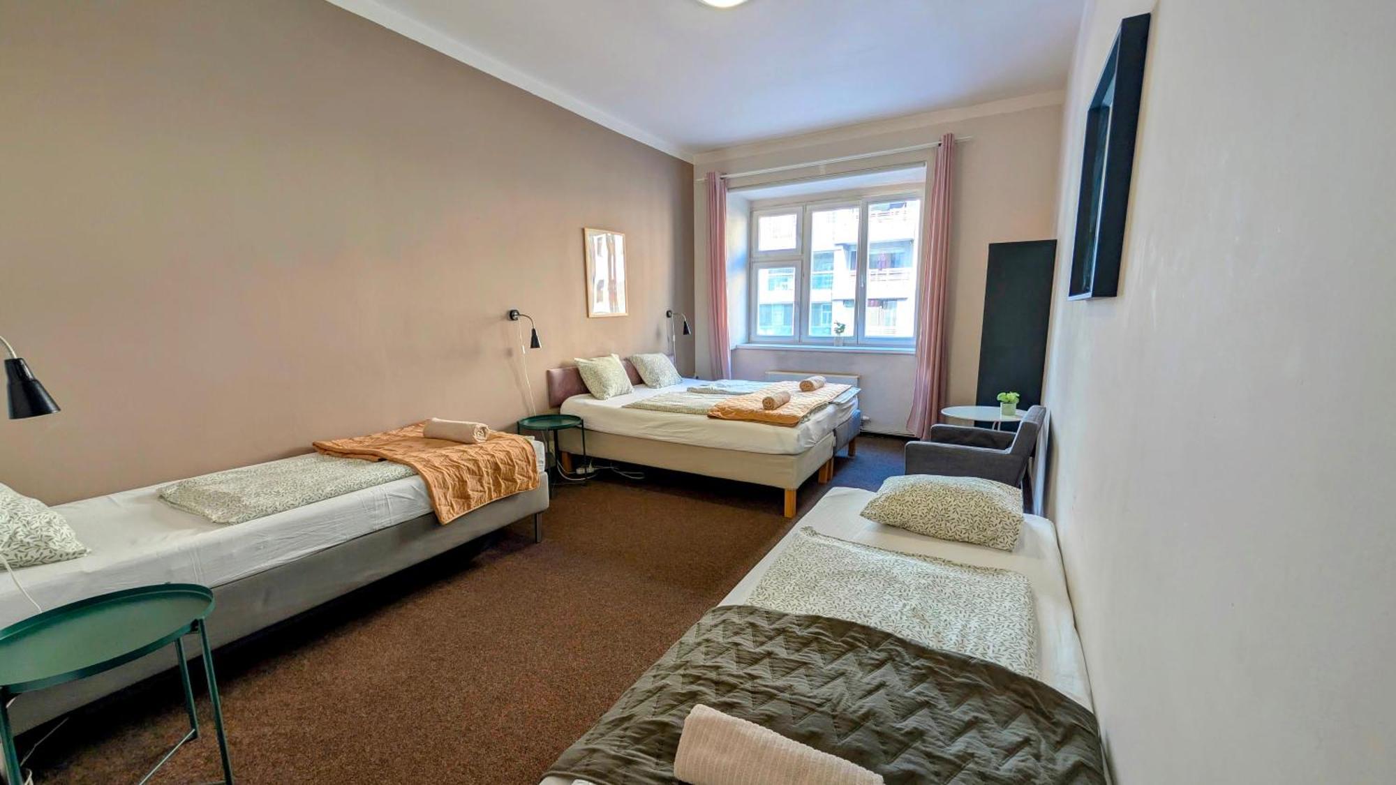 Apartment Flat In Zizkov -103-