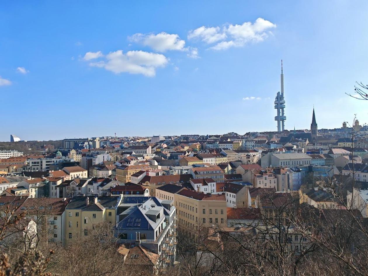 Flat In Zizkov -103- Прага